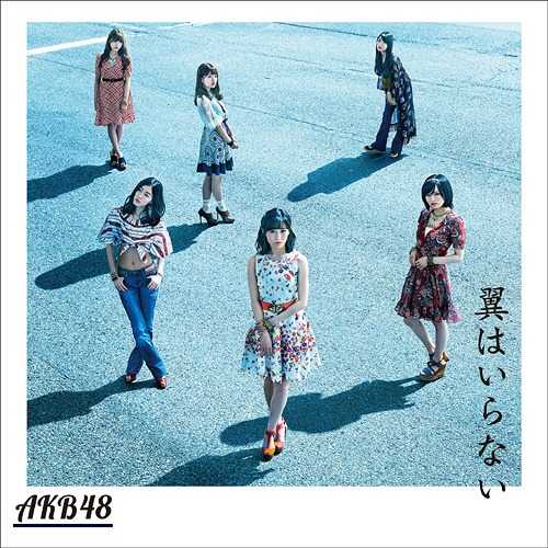AKB48 / 不需要翅膀〈Type-C〉CD+DVD