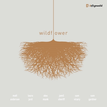 Matt Anderson & The Wildflower Sextet / Wildflower