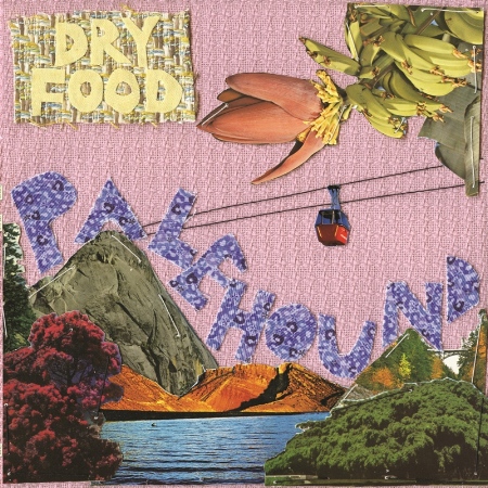 Palehound / Dry Food (LP)