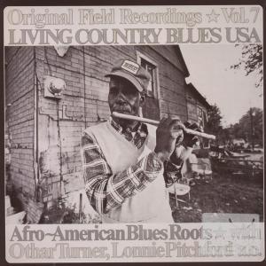 合輯 / 美國鄉村藍調: 第7輯 V.A. / Living Country Blues USA: Vol.7
