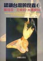 認識台灣的昆蟲(6)  : 鱗翅王-王蛾科、木蠹蛾科