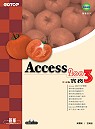 Access 2003中文版實務