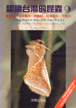 認識台灣的昆蟲(9)  : 蠶蛾科、波紋蛾科、刺蛾科、枯葉蛾科、天蛾科