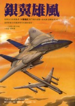 銀翼雄風 ANGLE OF ATTACK