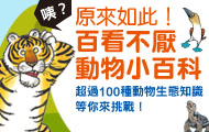 熱門活動