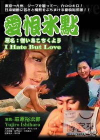 愛恨冰點 DVD 