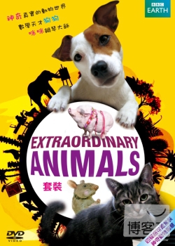 動物資優班 套裝 DVD Extraordinary Animals Boxset