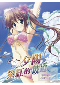 夕陽染紅的坡道 整理盒 7DVD