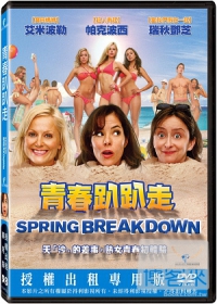 青春趴趴走 DVD Spring Breakdown