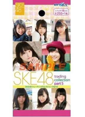SKE48明星寫真保藏卡 PART.5 SKE48 5