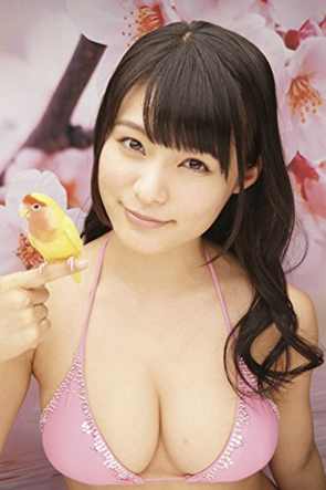 星名美津紀2015年掛曆 (8張) 